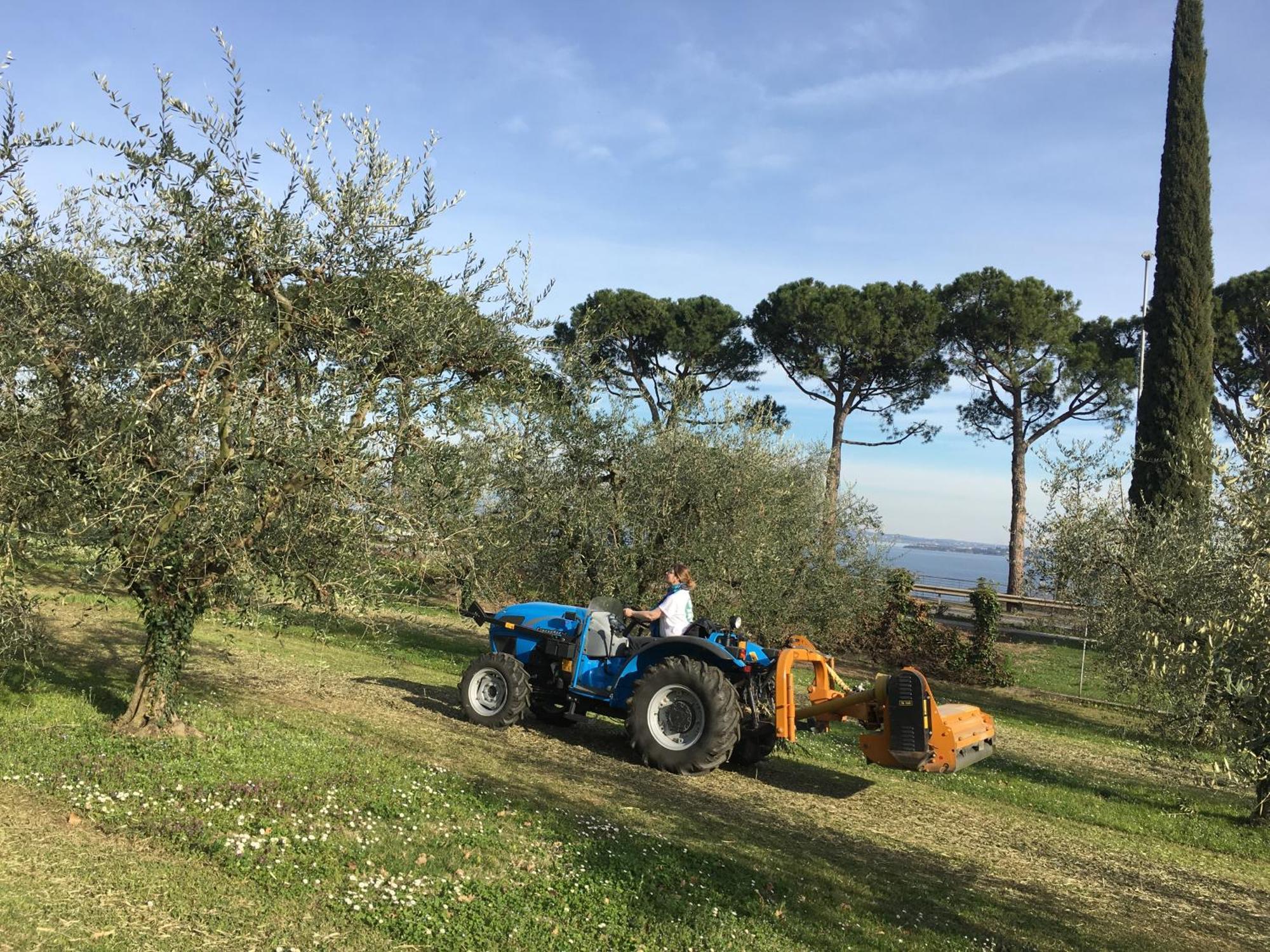 Agriturismo Nonna Bettina Moniga del Garda Eksteriør bilde