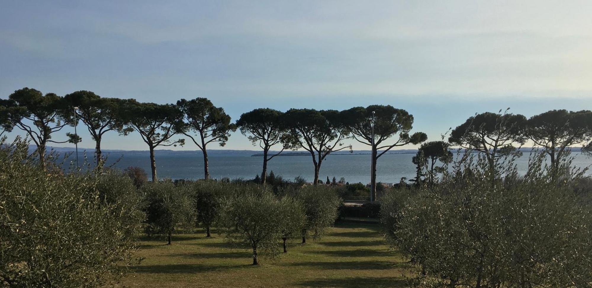 Agriturismo Nonna Bettina Moniga del Garda Eksteriør bilde