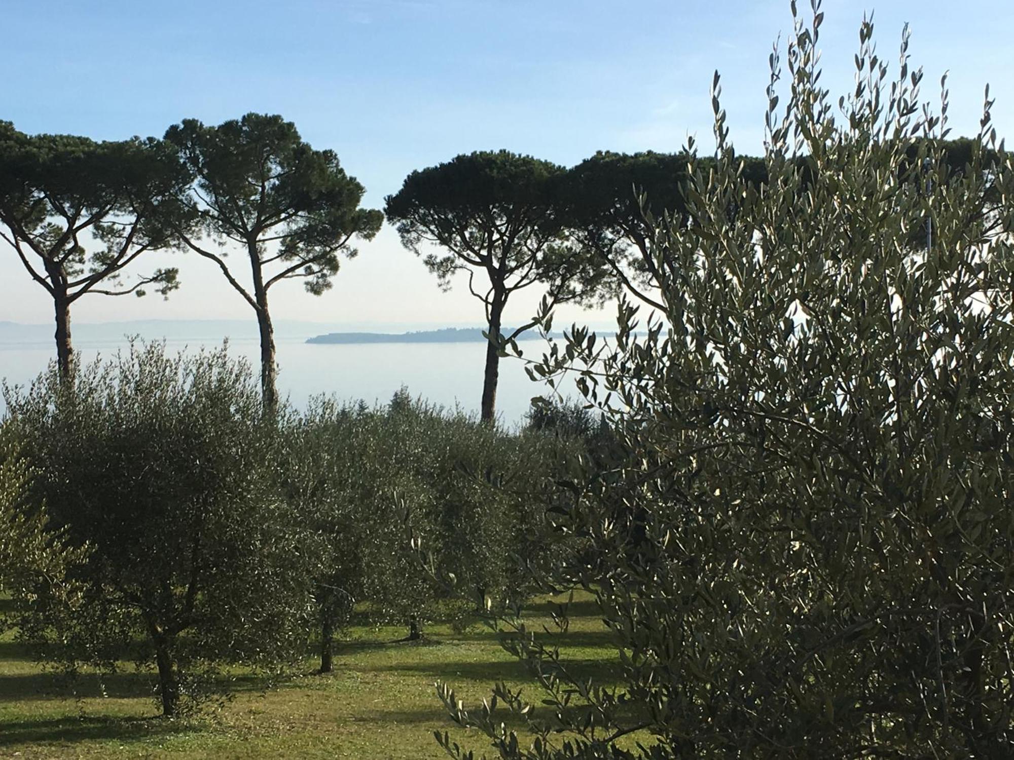 Agriturismo Nonna Bettina Moniga del Garda Eksteriør bilde